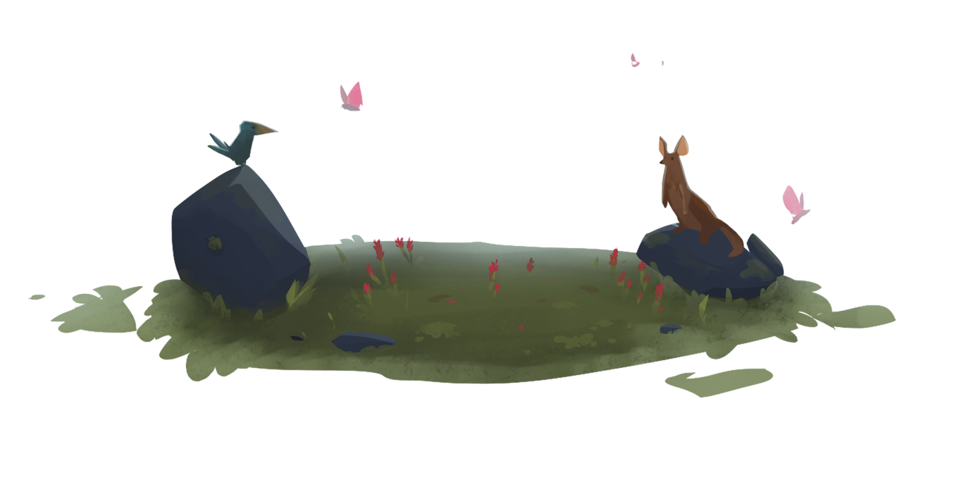 Cute Animals on rocks
